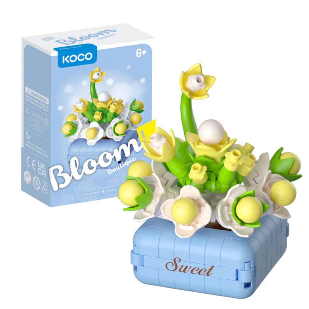 KOCO | Bloques de Plantas Suculentas Surtidas