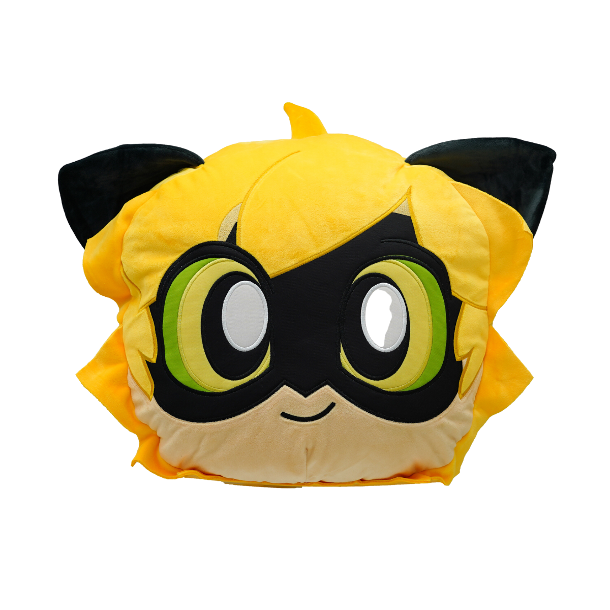 Cat Noir Pillow