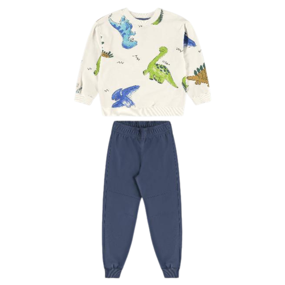 Up Baby | Conjunto Buzo y Pantalón en Tela Sudadera sin Felpa para Niño