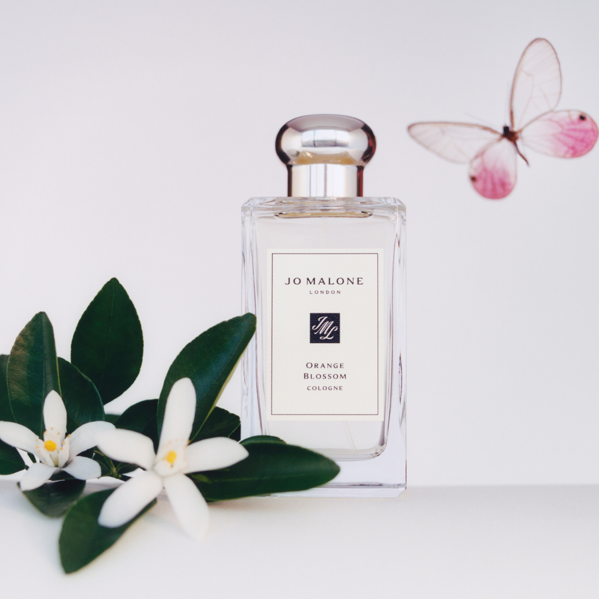 Jo Malone London Colonia Unisex Orange Blossom - Felix Online Jo Malone London Colonia Unisex Orange Blossom - Felix Online