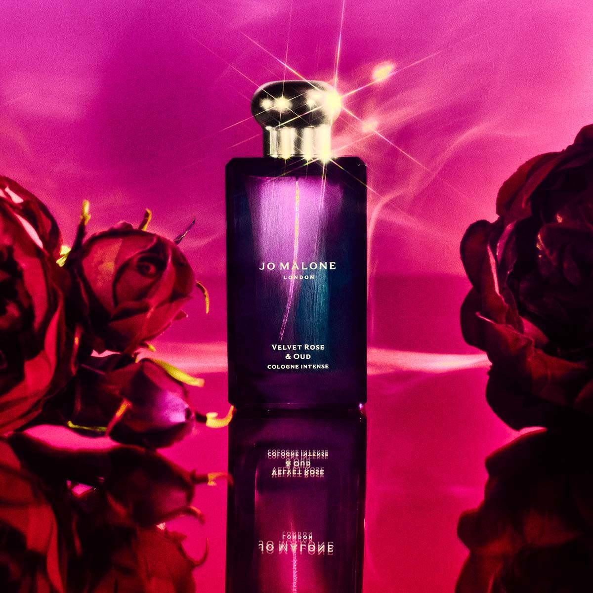 Jo Malone London Colonia Intensa Unisex Velvet Rose & Oud - Felix Jo Malone London Colonia Intensa Unisex Velvet Rose & Oud - Felix