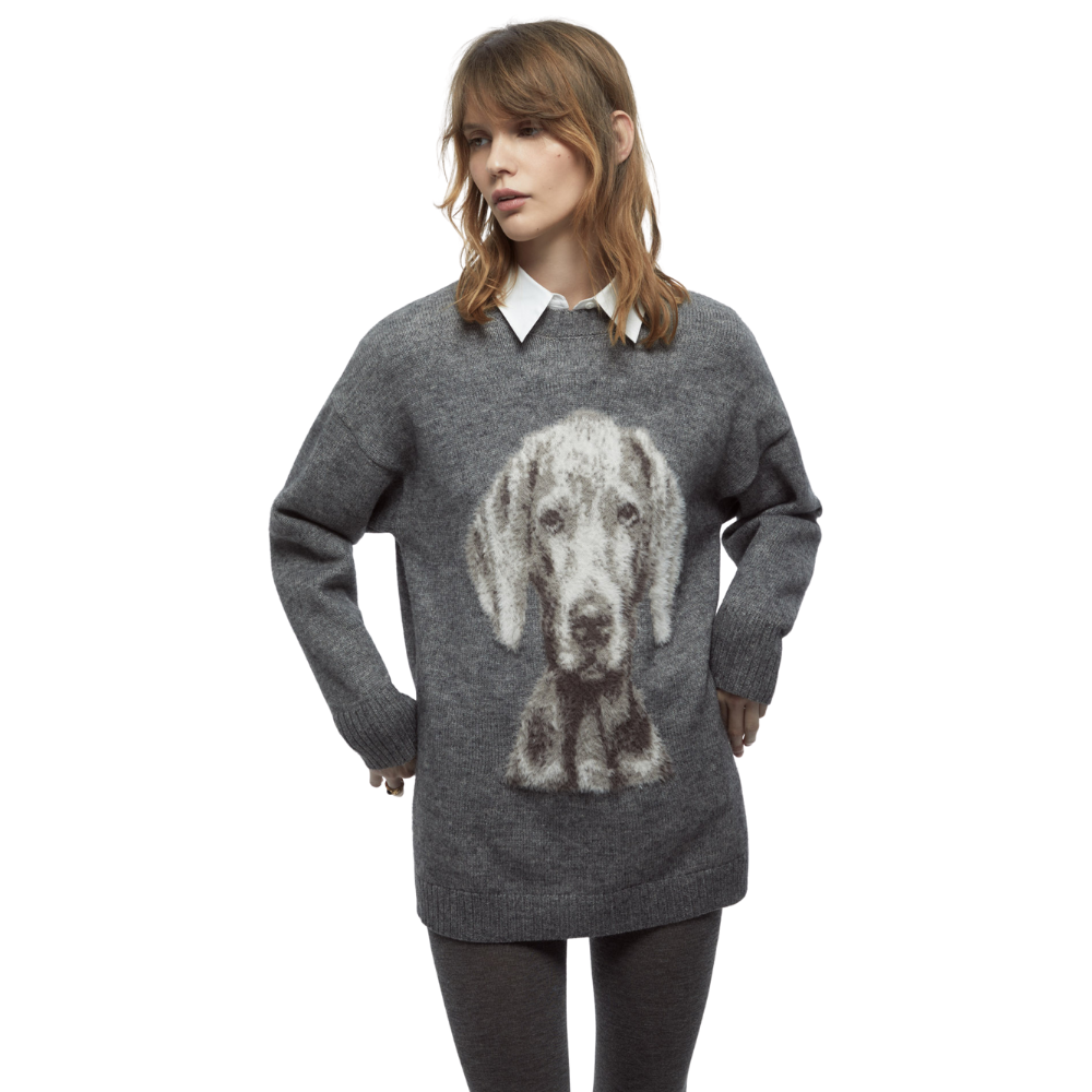 Sfera | Jersey Punto Perro
