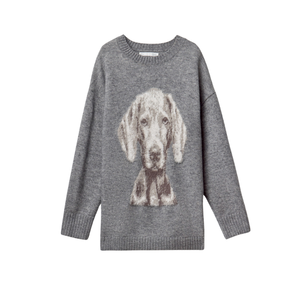 Sfera | Jersey Punto Perro