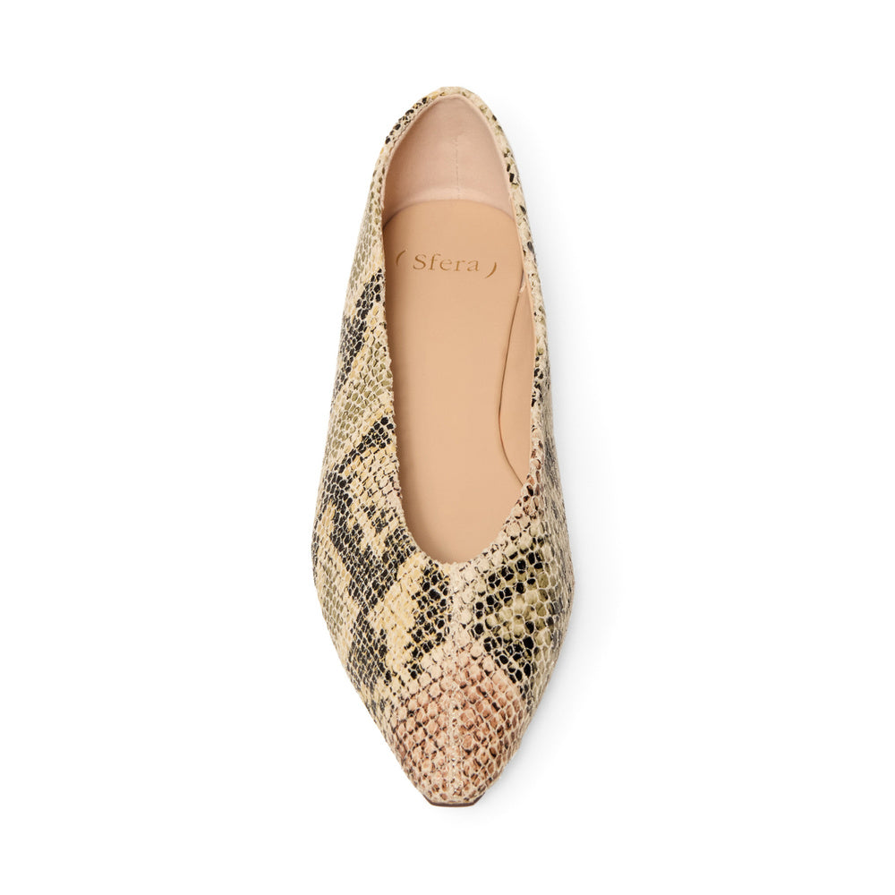 Sfera | Zapatos Pitón Manoletina para Dama