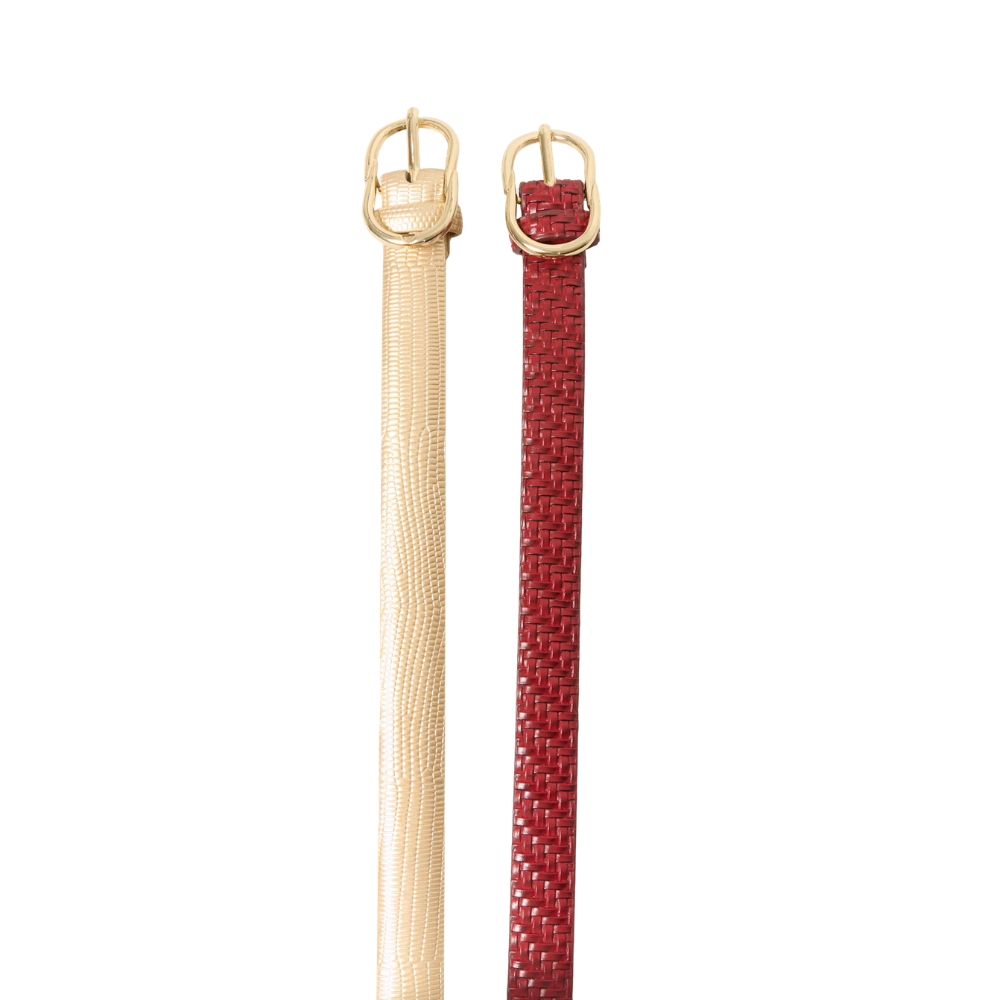 Sfera | Set cinturones hebilla para dama