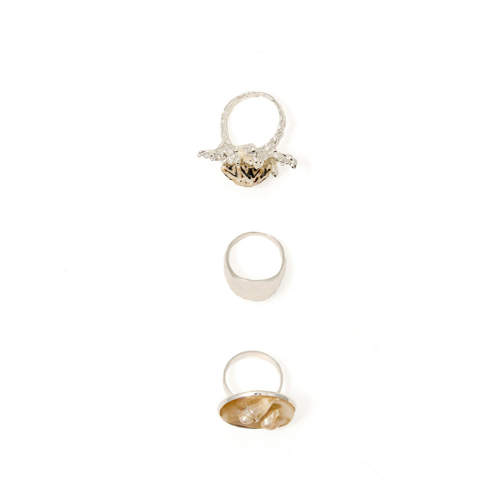 Sfera | Set Anillos Conchas