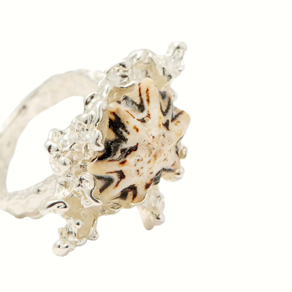 Sfera | Set Anillos Conchas
