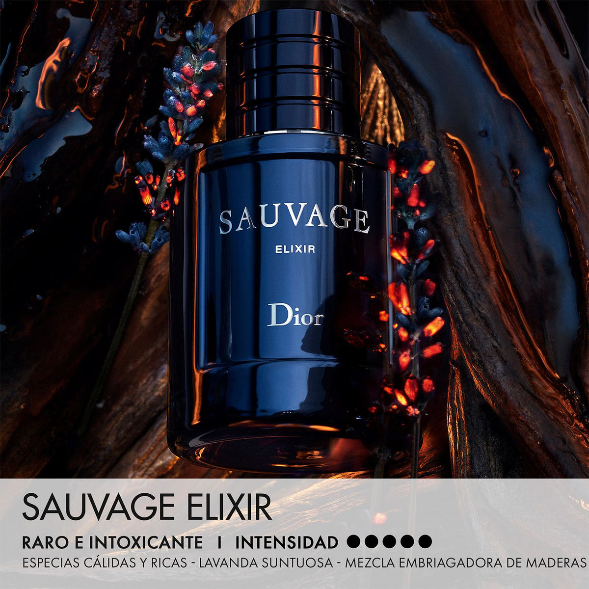 DIOR | Sauvage Elixir Perfume