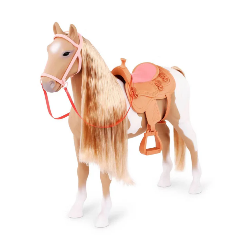 Our Generation | Caballo Palomino