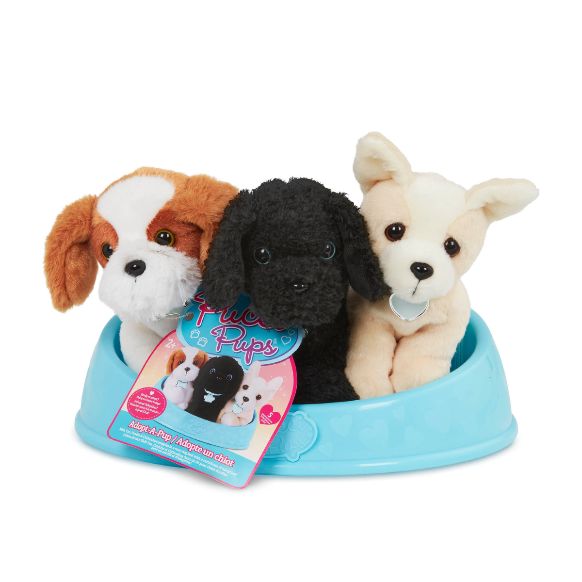 Adopt a Pucci Pup