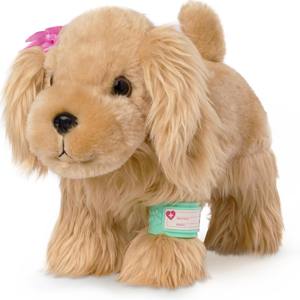 Pucci Pup | Juego de Cocker Spaniel y Tranportador Veterinario