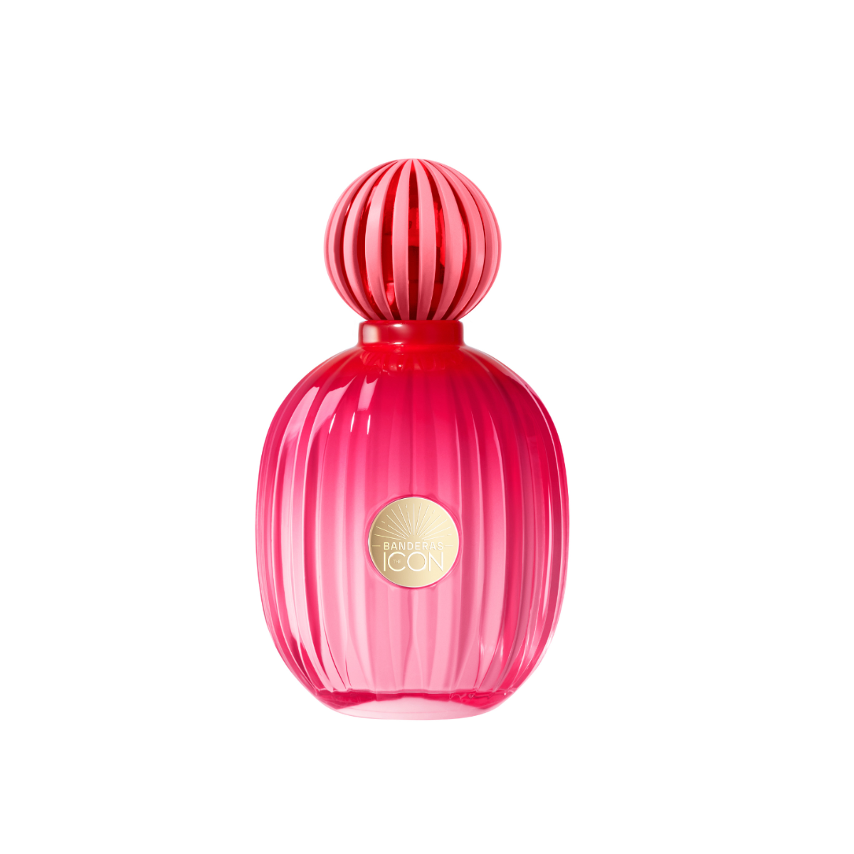 The Icon Splendid Eau de Parfum