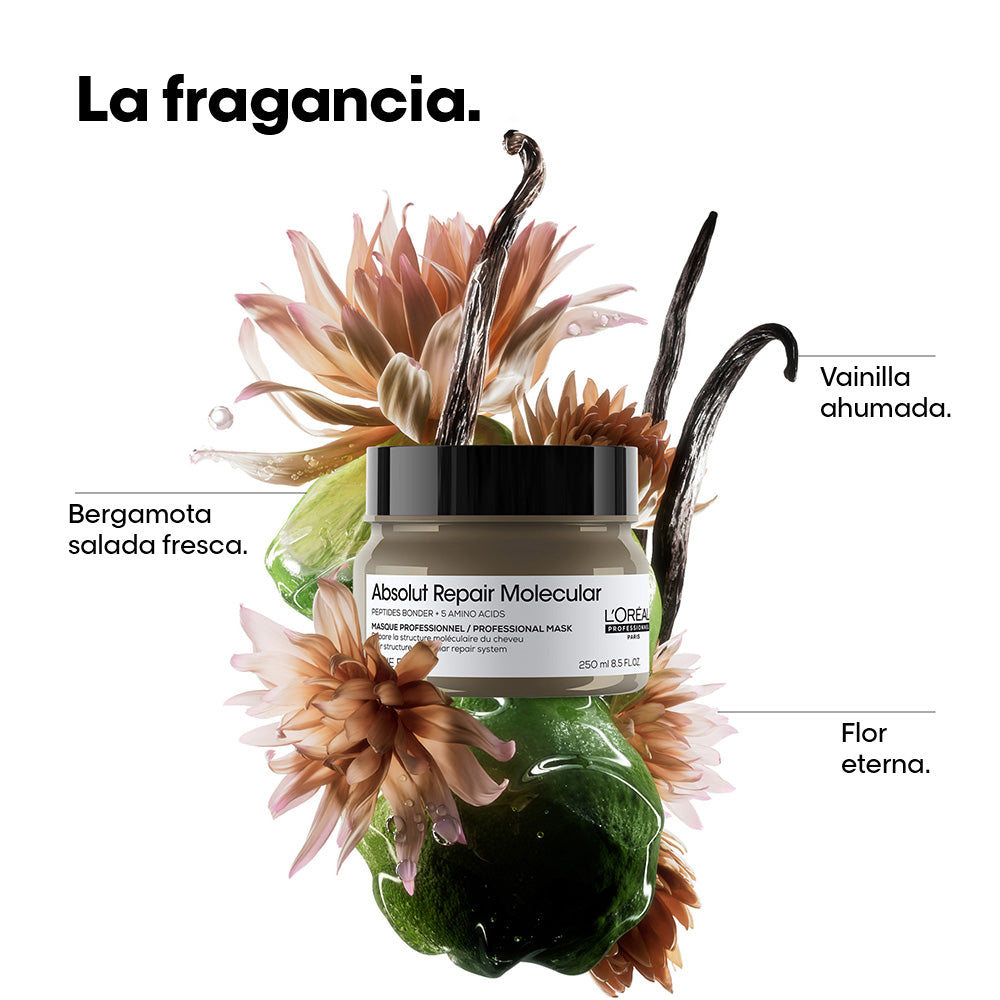 L'Oréal Professionnel | Mascarilla Abs Repair Molecular 250ml