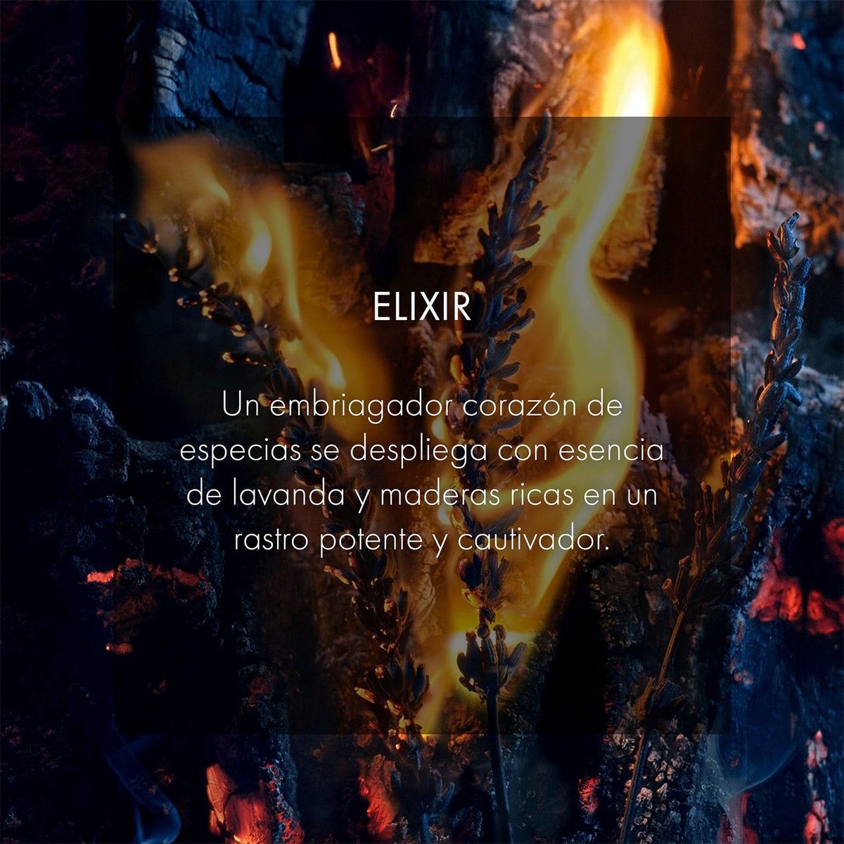 DIOR | Sauvage Elixir Perfume