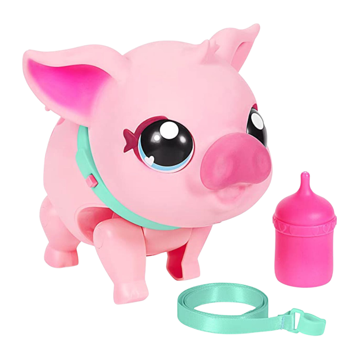 Little live pets | My Pet Pig