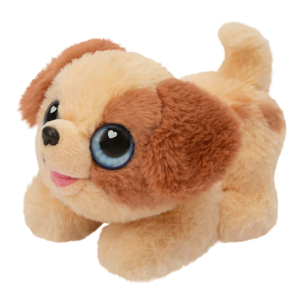 Little Live Pets | Mini casa para perrito