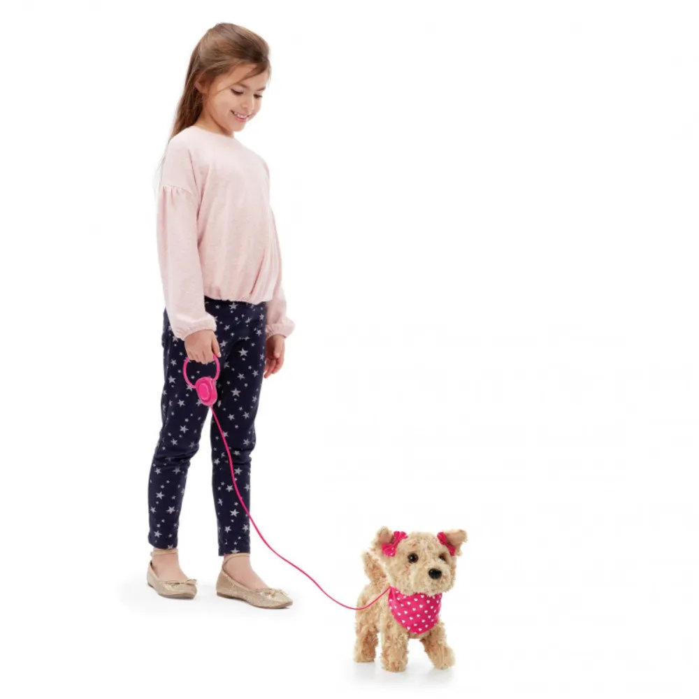 Pitter Patter Pets | Mascota Terrier Kennel Amoroso
