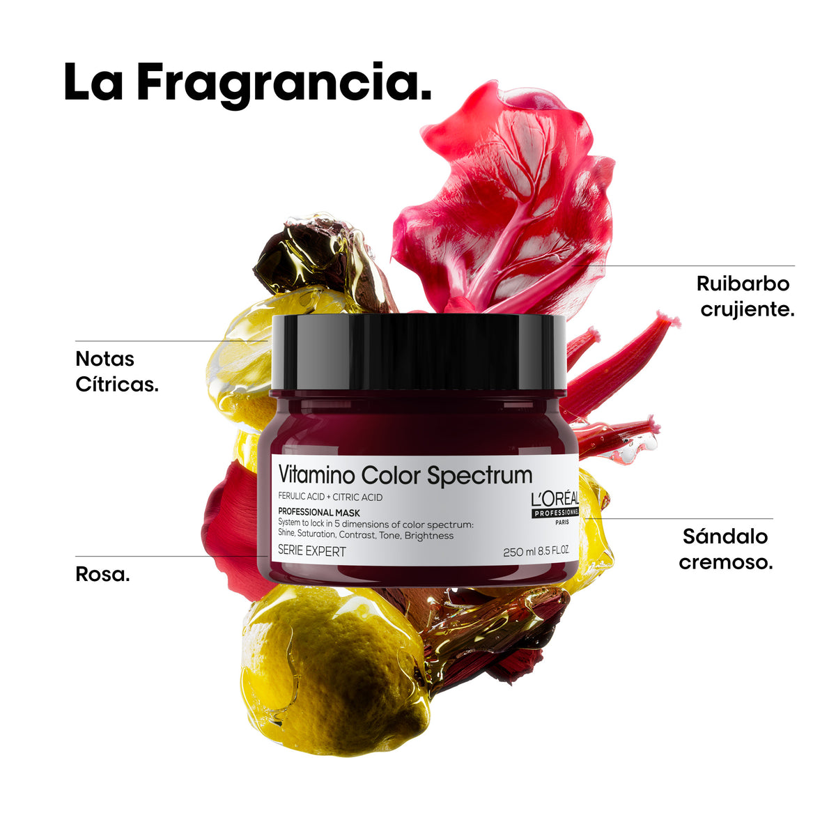 L'Oréal Professionnel | Mascarilla Vit Color Spectrum 250ml