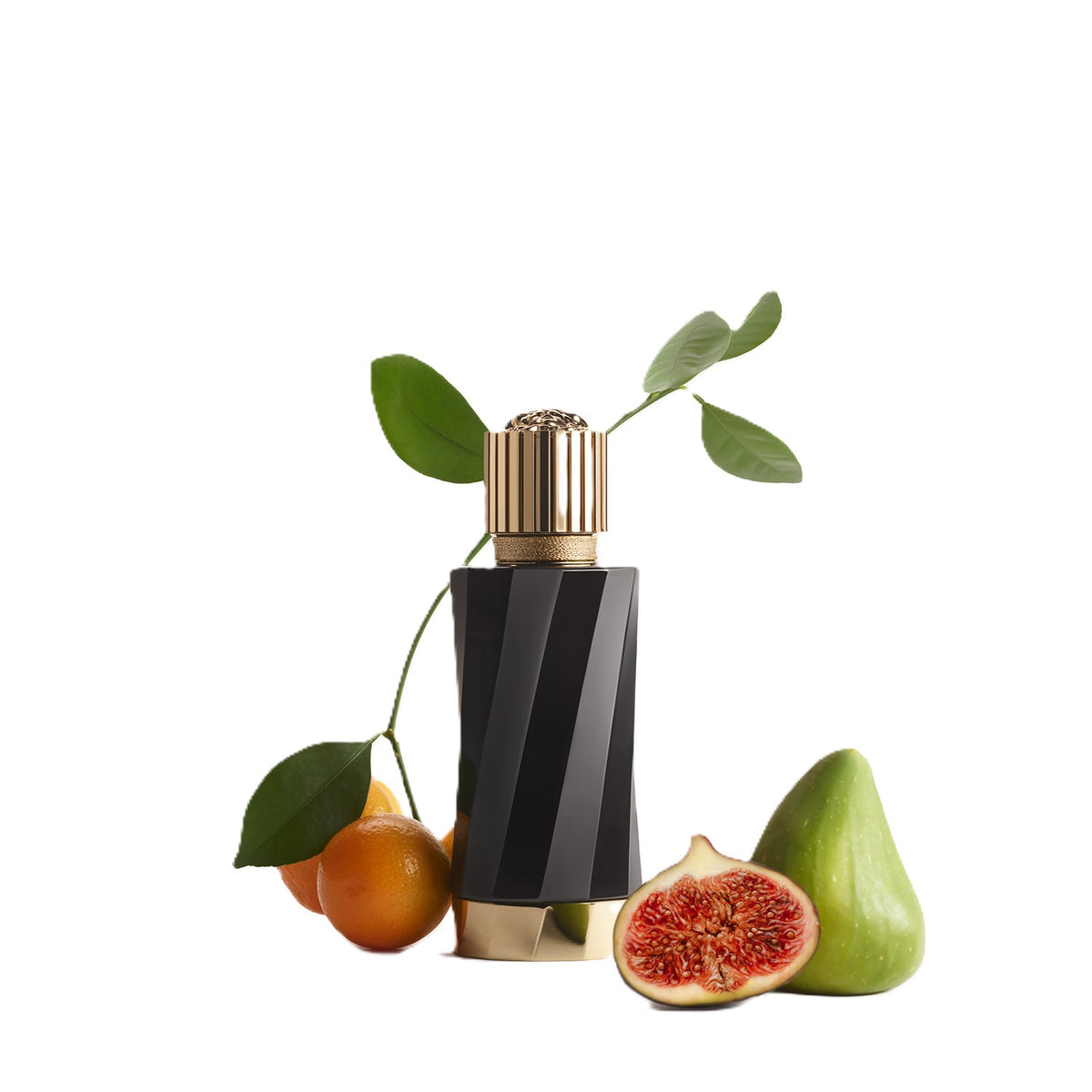 Atelier Versace | Figue Blanche Eau De Parfum