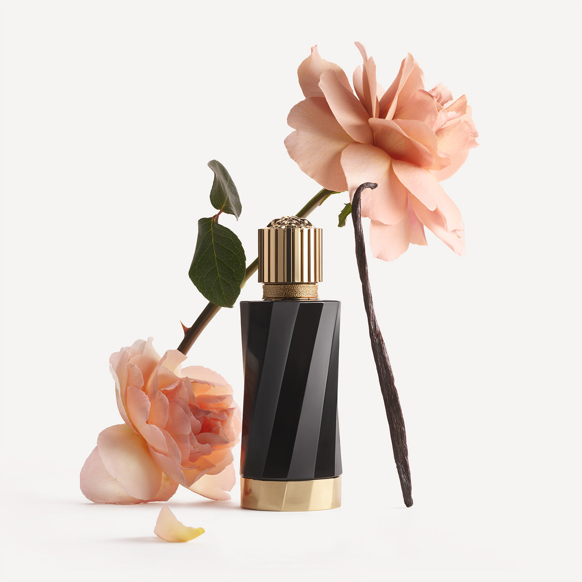 Atelier Versace | Vanille Rouge Eau de Parfum