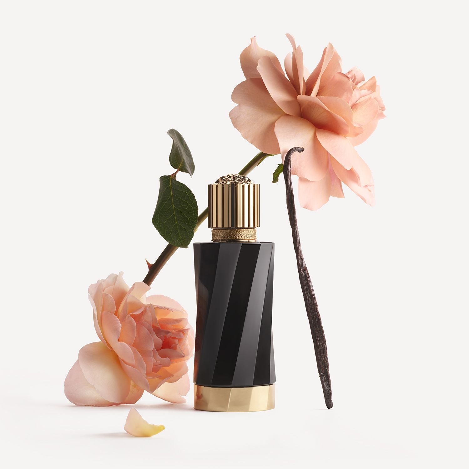 Atelier Versace | Vanille Rouge Eau de Parfum - Felix Online