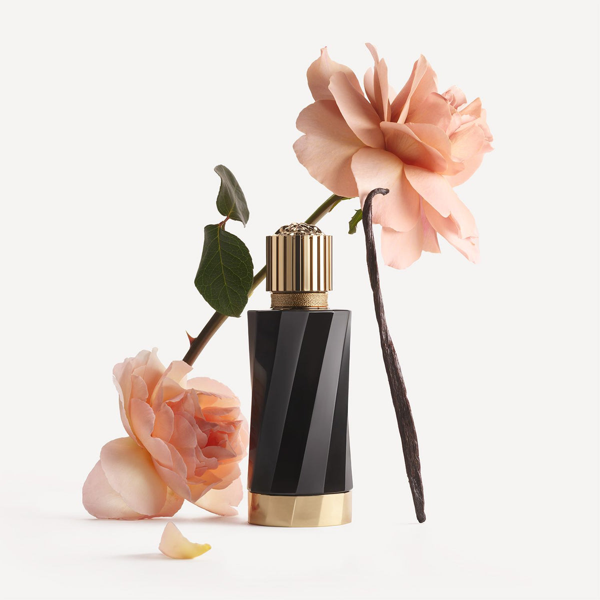 Atelier Versace | Vanille Rouge Eau de Parfum