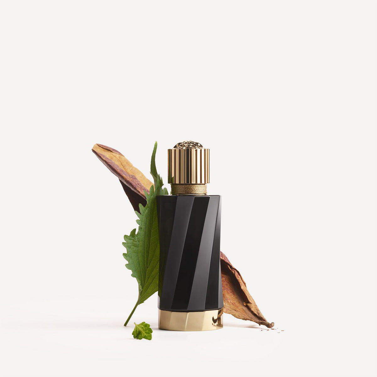 Atelier Versace | Tabac Imperial Eau de Parfum