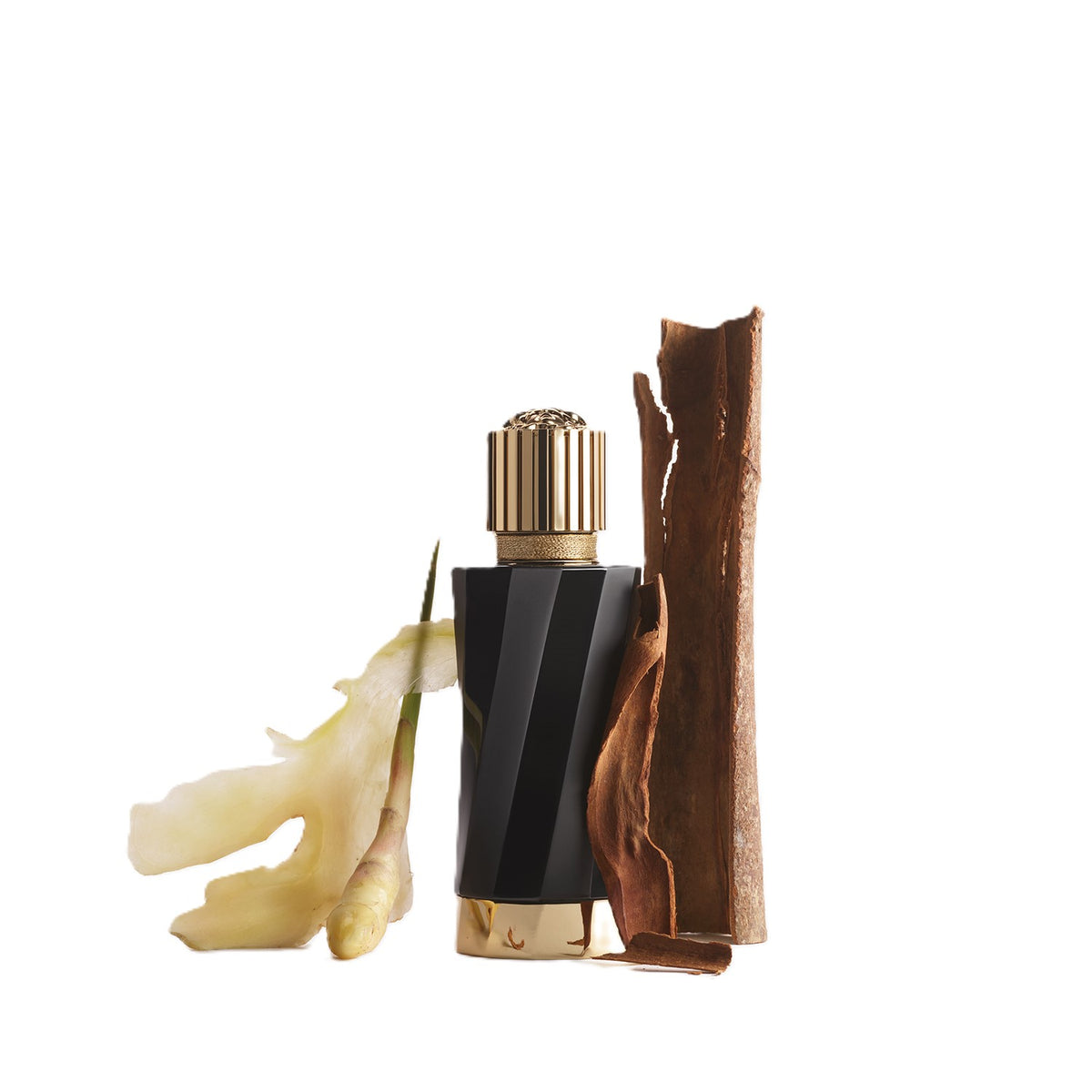 Atelier Versace | Gingembre Petillant Eau De Parfum