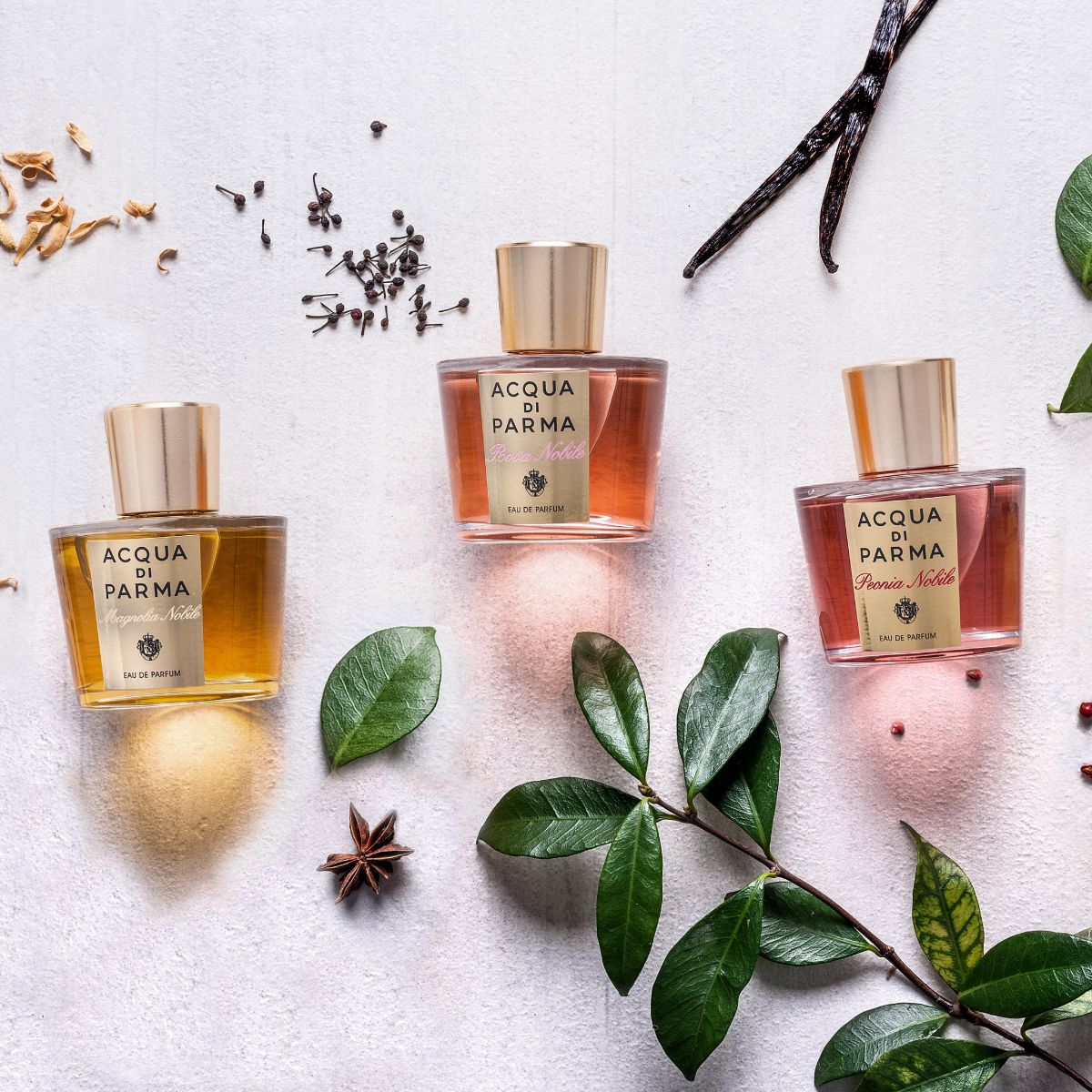 Acqua Di Parma |  Rosa Nobile Eau De Parfum