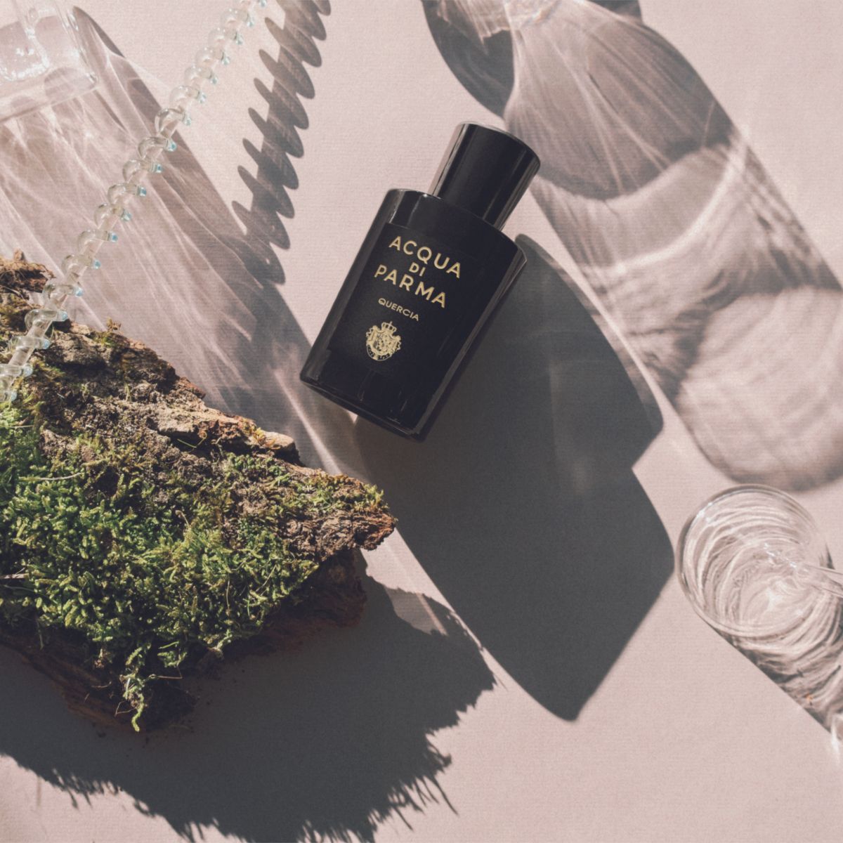 Acqua Di Parma | Signature Quercia Eau De Parfum