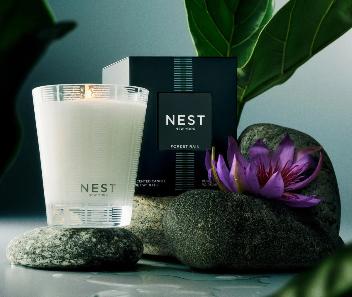 NEST NEW YORK | Forest Rain Classic Candle
