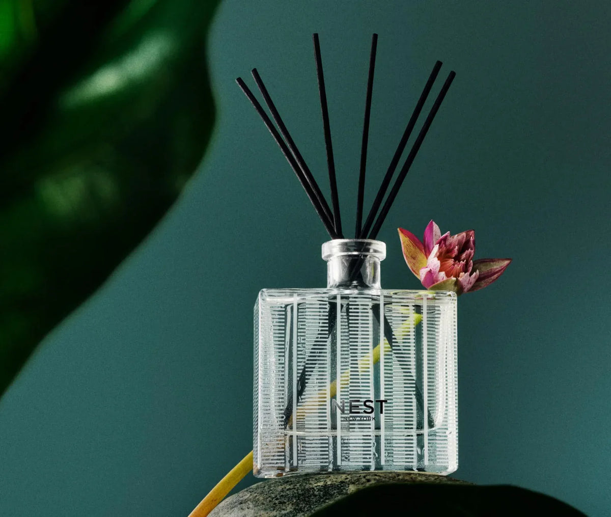 NEST NEW YORK | Forest Rain Reed Diffuser
