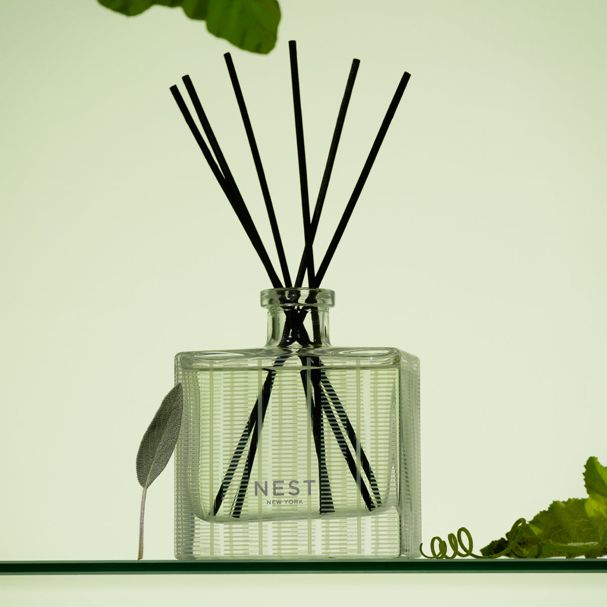 NEST NEW YORK | Cucumber & White Sage Reed Diffuser