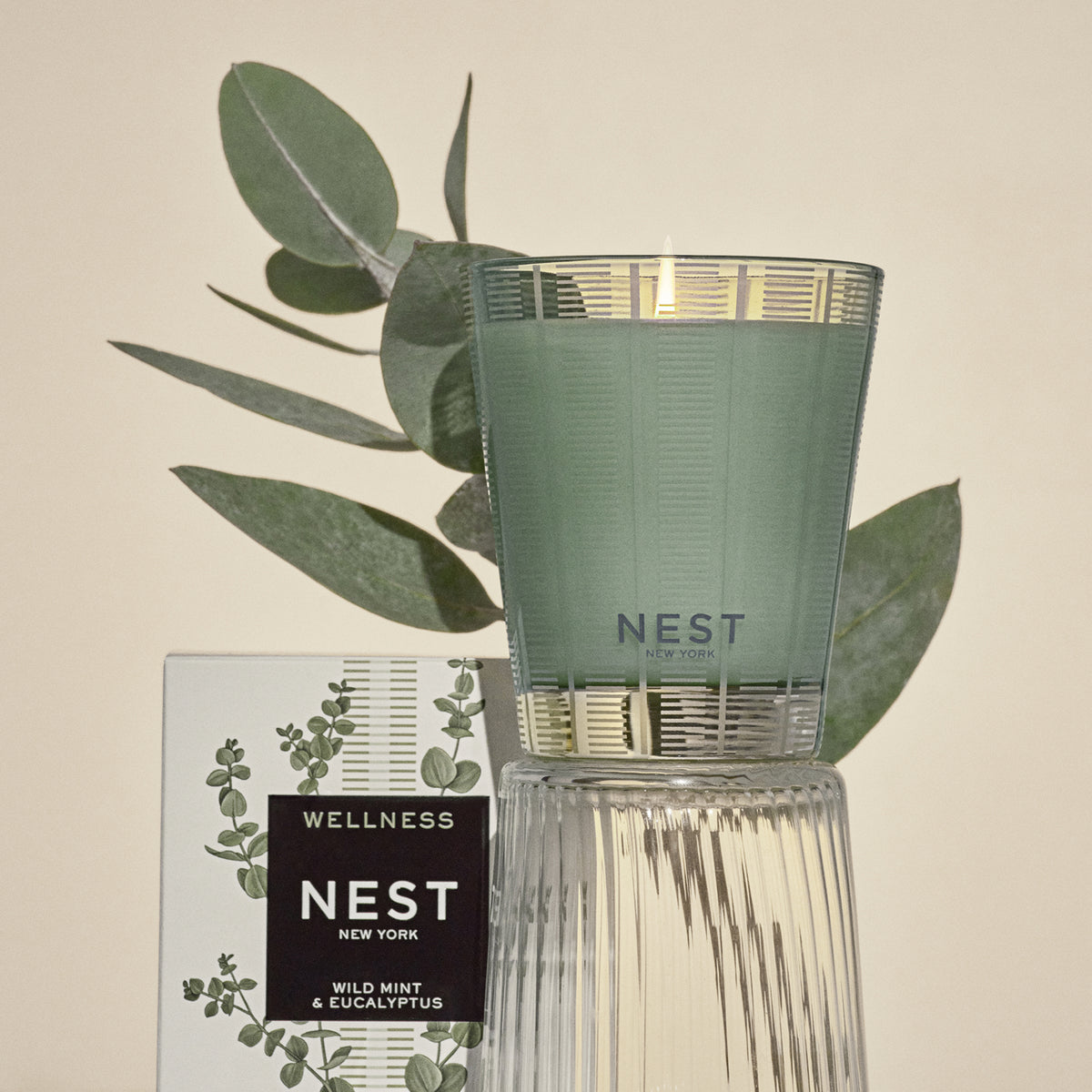 NEST NEW YORK | Wild Mint & Eucalyptus Classic Candle