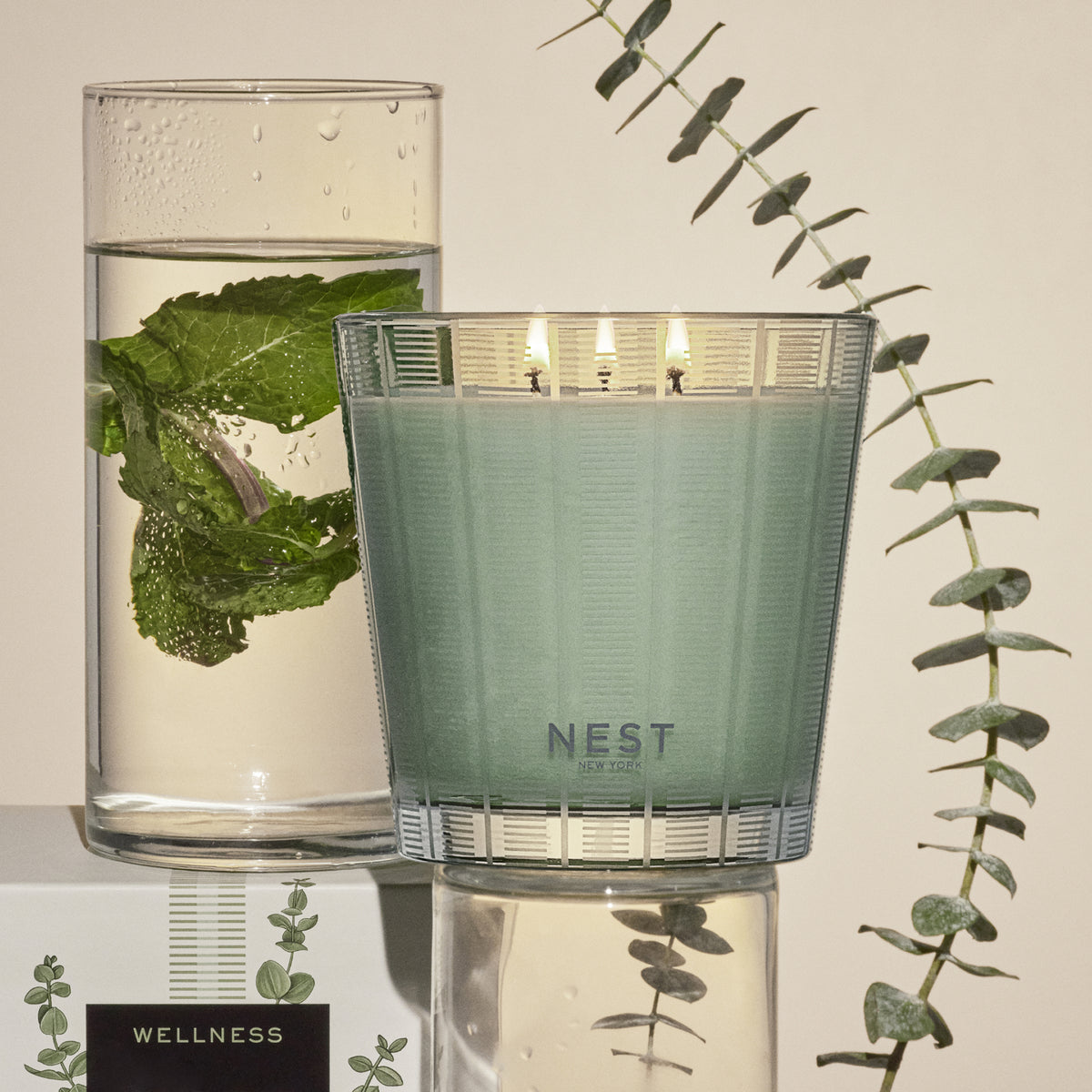 NEST NEW YORK | Wild Mint & Eucalyptus 3-Wick Candle
