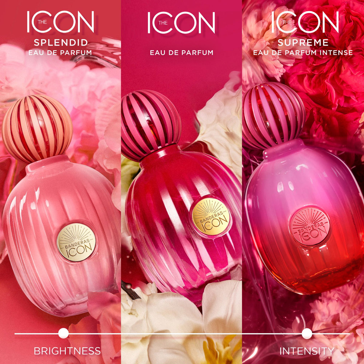 Banderas | The Icon Supreme Eau de Parfum Intense for Women