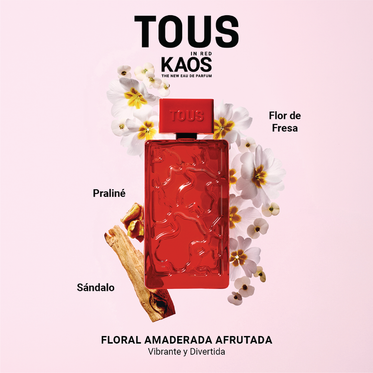 Tous | Kaos In Red