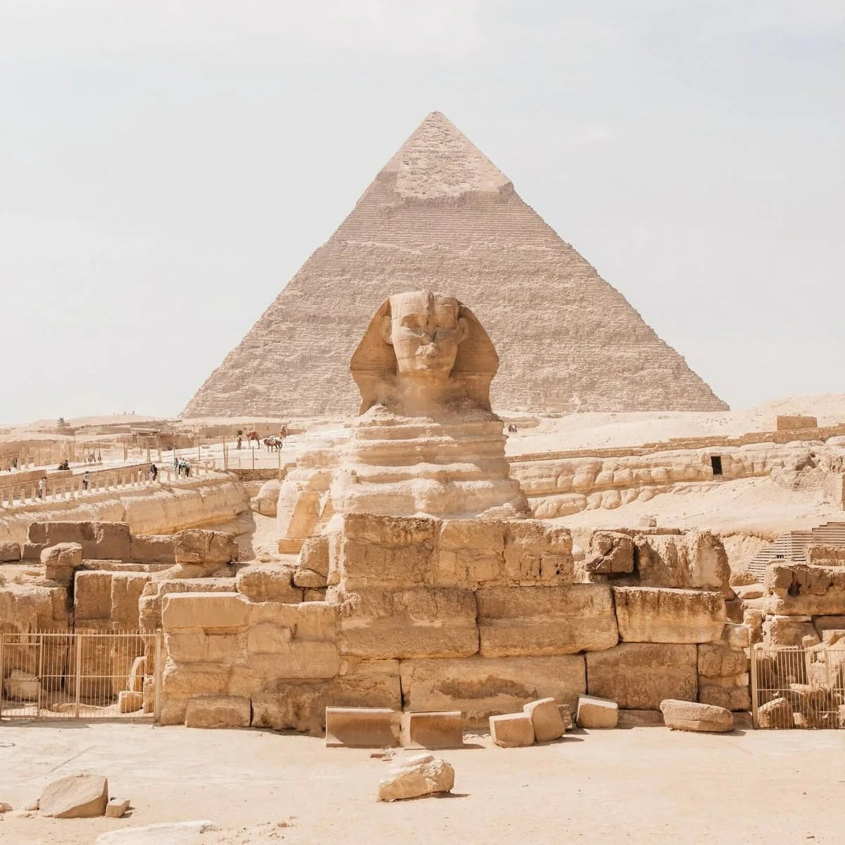 Eight & Bob | Egypt Eau de Parfum