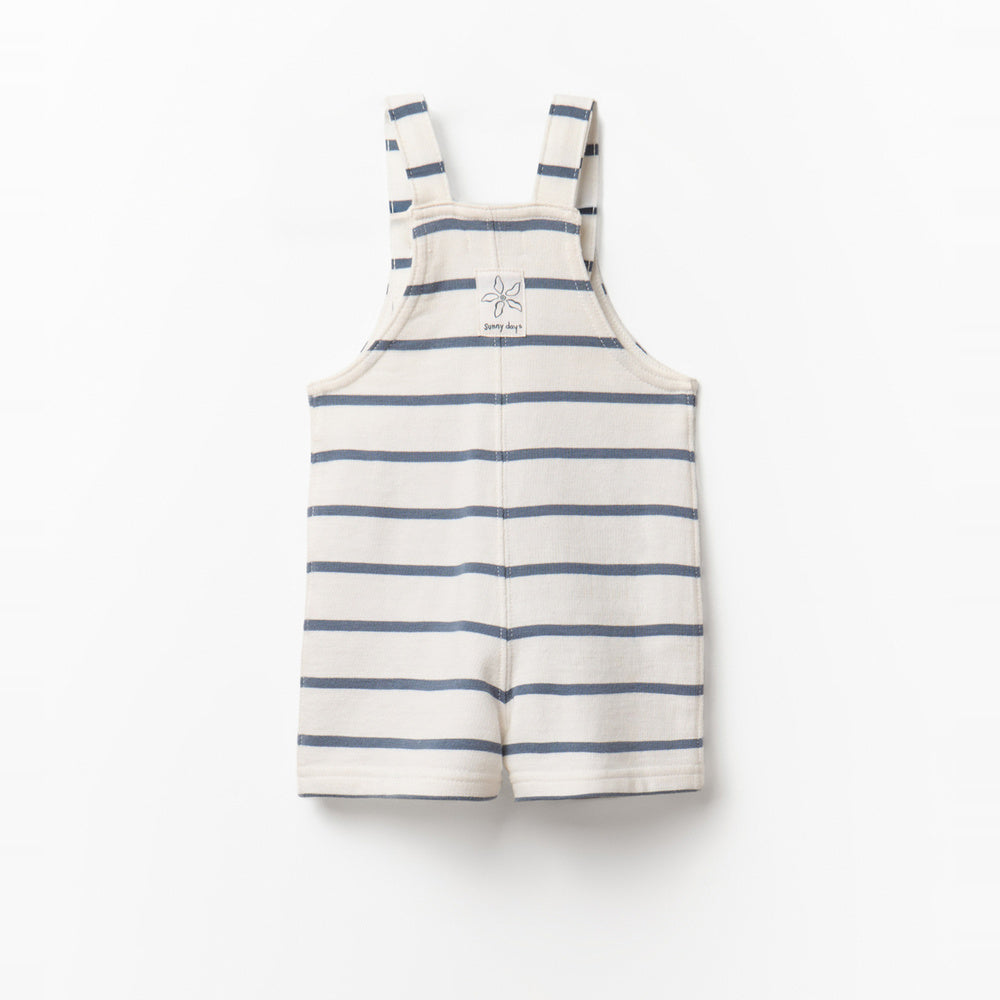 Sfera | Peto Terry Raya