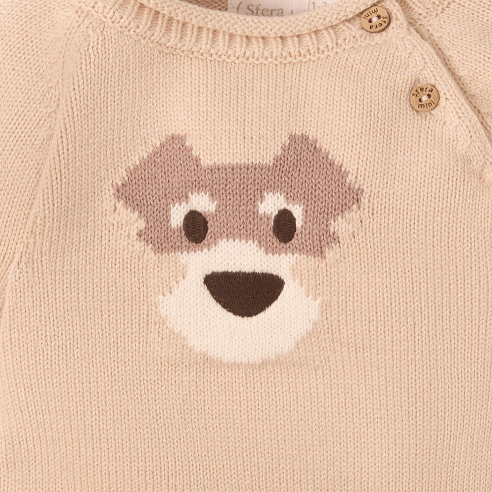 Sfera | Jersey Perrito
