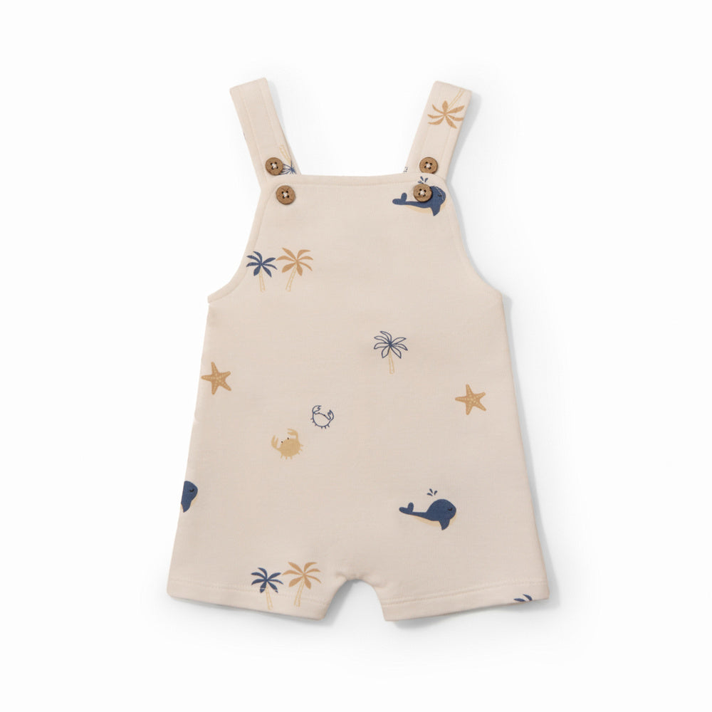 Sfera | Peto Estampado