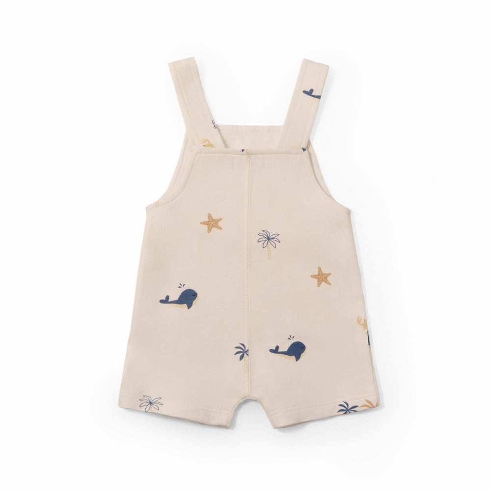 Sfera | Peto Estampado