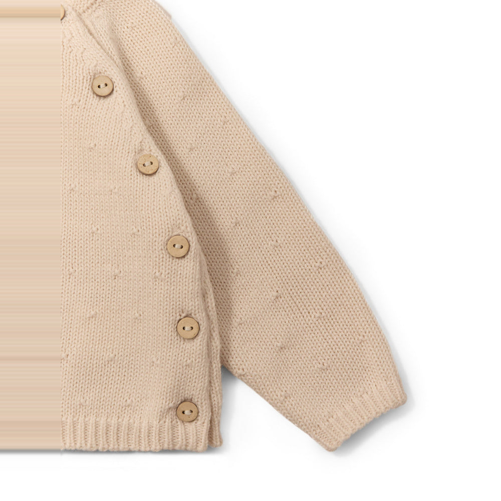 Sfera | Jersey Algodón Punto