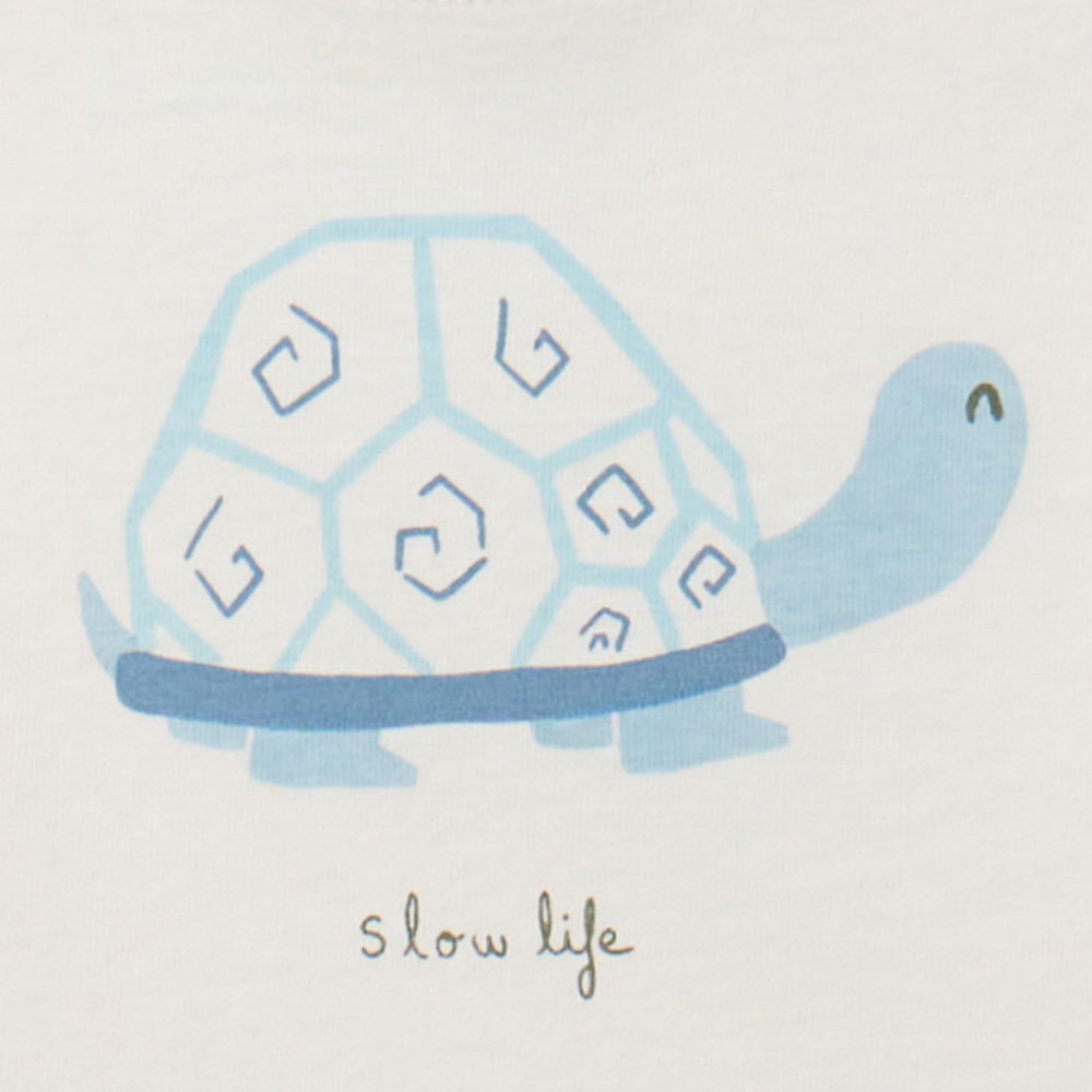 Sfera | Camiseta Estampada Dibujo De Tortuga.