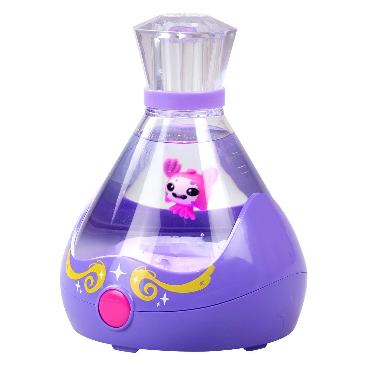 Fizzy | Fizzy Pets
