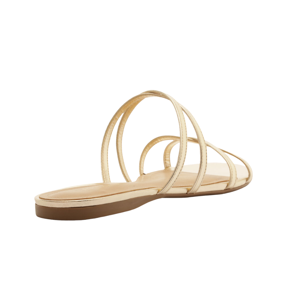 Arezzo |  Sandalia Flat