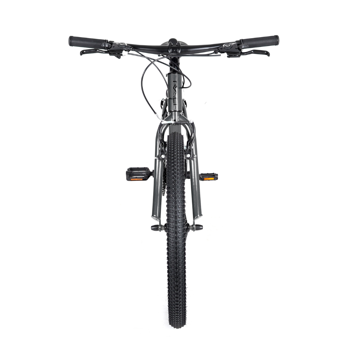 Bicicleta MTB R1 Gris