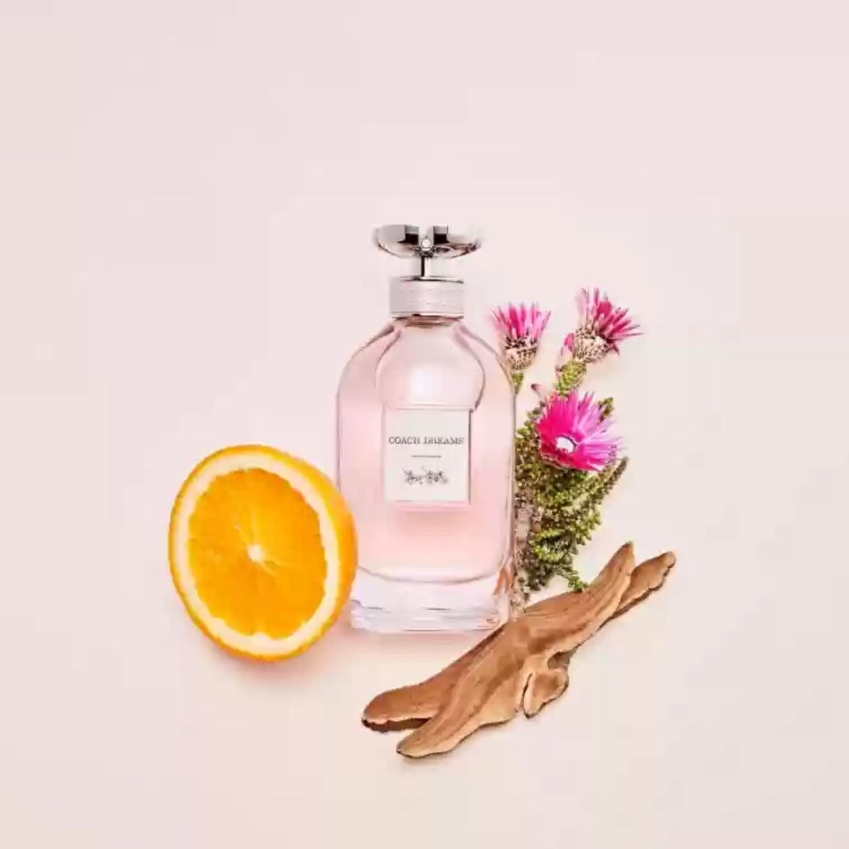 Coach Dreams Eau De Parfum