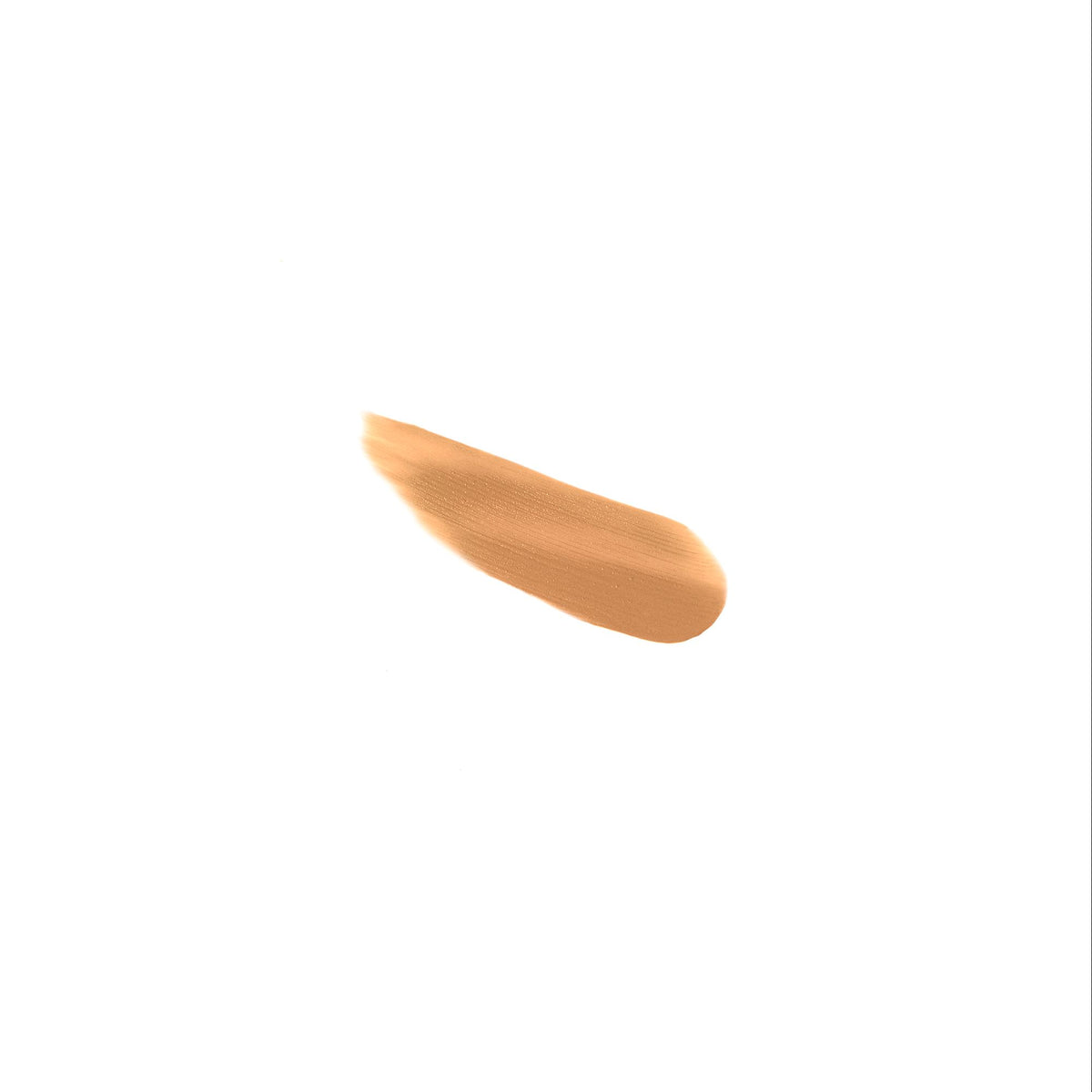 Dolce &amp; Gabbana | Everlast Concealer