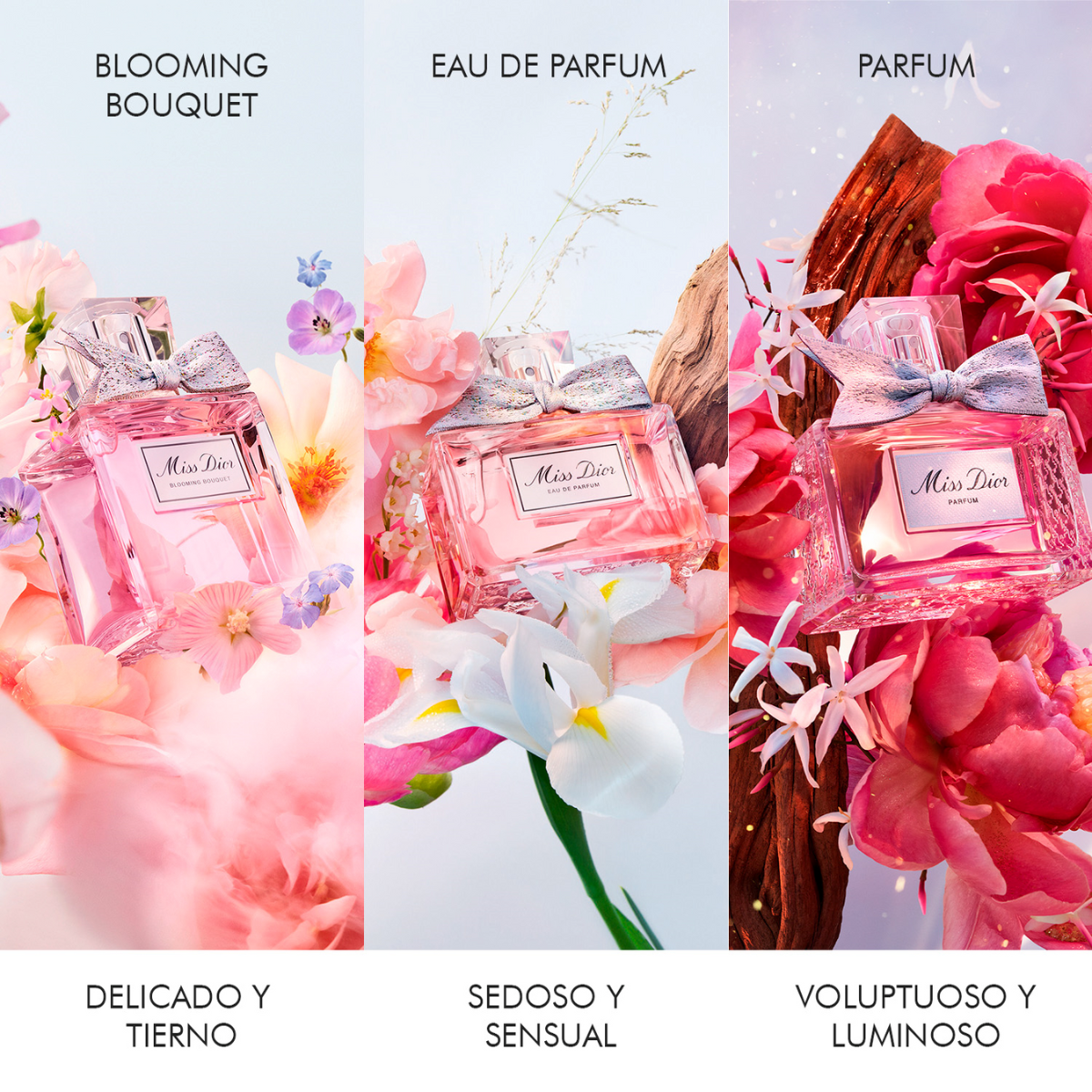 Dior Set Miss Dior Blooming Bouquet - Edición Limitada